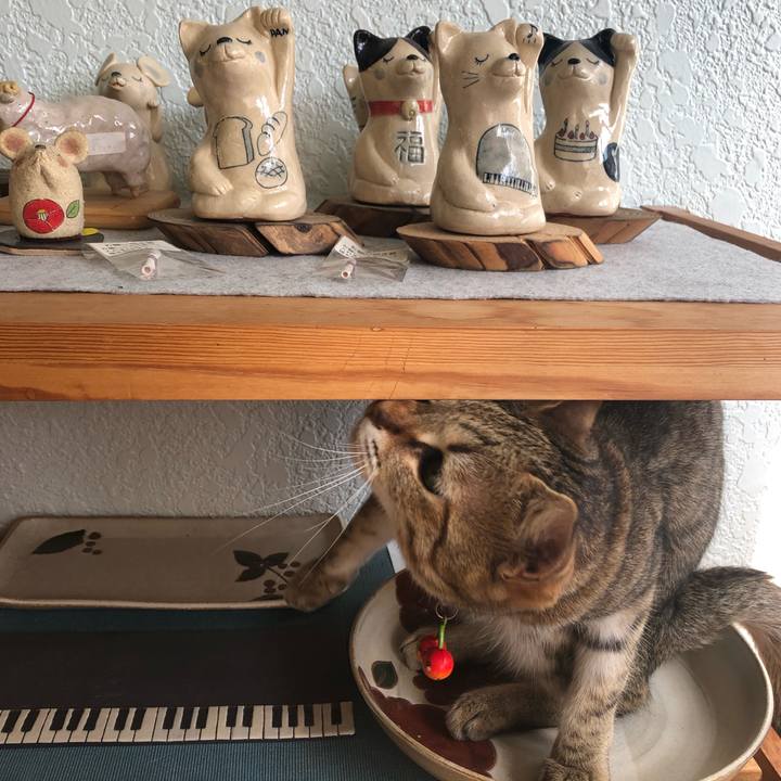 A1657247 f277 41ca a528 fd8cf626f6e9 1613971338244