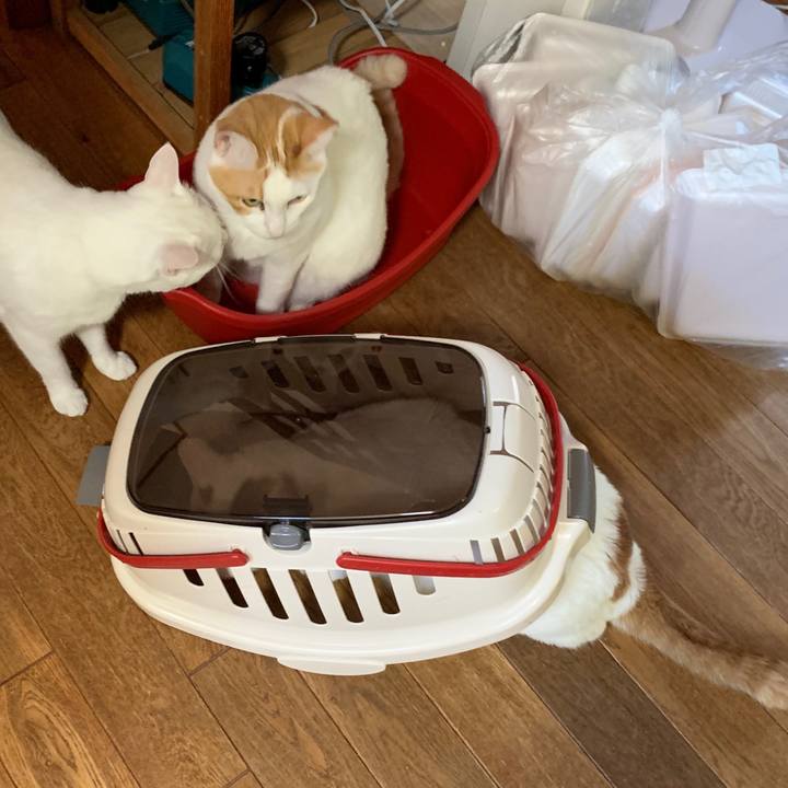 A1657572 9f8e 4a5f b91d c1df82372c92 1598743310396