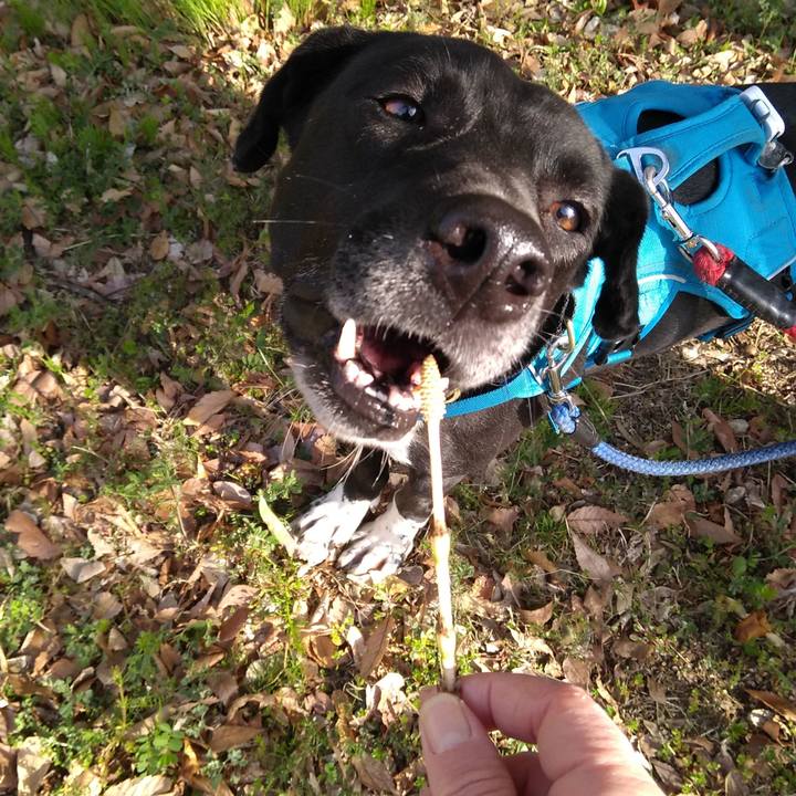 A1660cdc 03fc 4464 b28a 678ad9d30de9 1616114460962