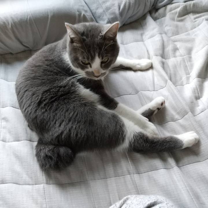 A1662ae3 682f 4cec a99f 75ed3f59aa05 1604705468017