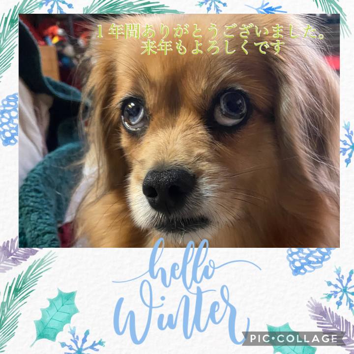 A16649c8 c67c 4f78 9a26 9564a229926a 1672444602969