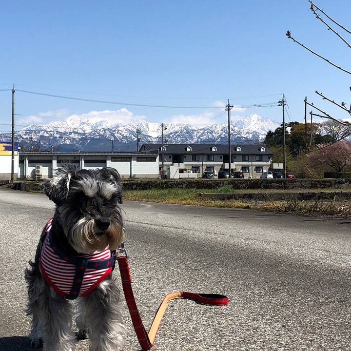 A1665643 7f26 4bef a42c b5205e0ae5c9 1618232555821