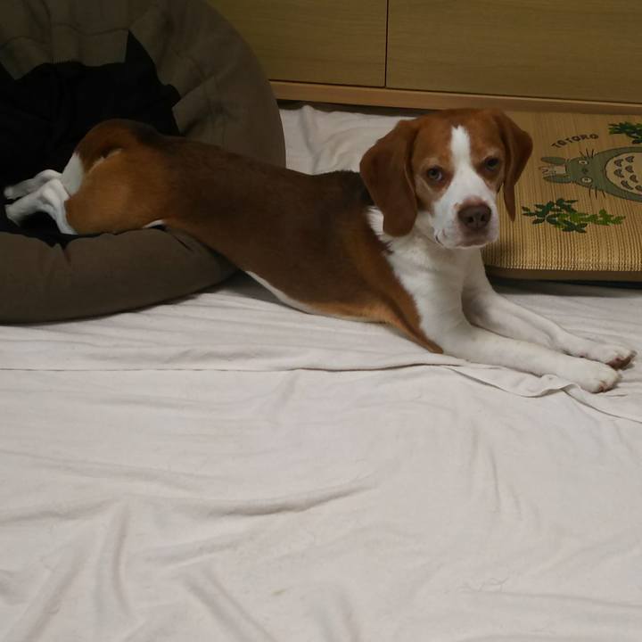 A166ab70 4862 4a2d 935f 25a7f491ec98 1623833263580