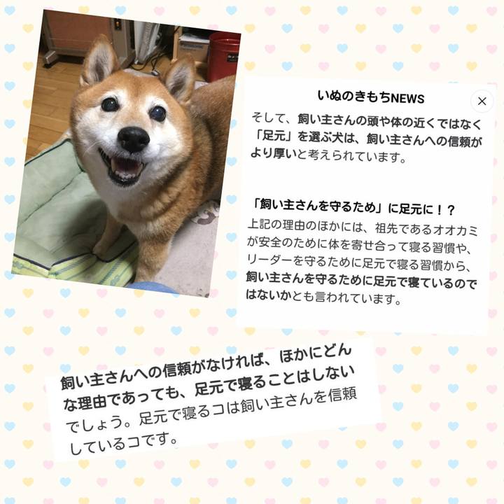 A166d58b 00f1 4835 b552 004f537f52df 1619684600242