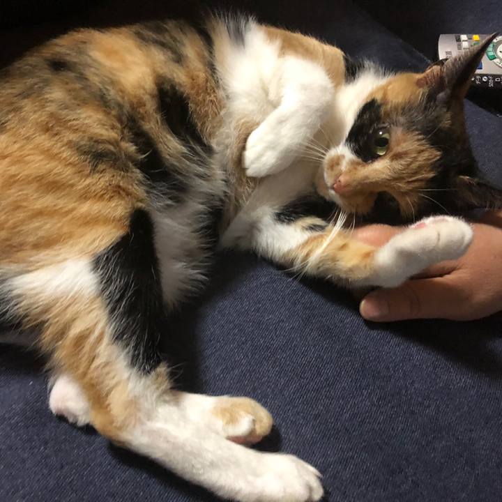 A16723b3 dce4 45b4 992f f4307fb8e428 1527591044953