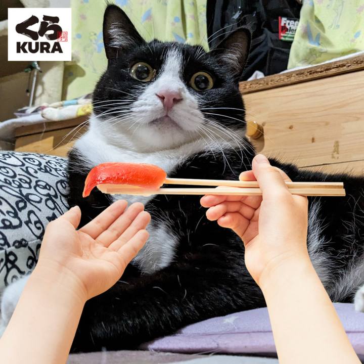 A1672915 db9c 43c5 b21f 771e3d928dc7 1728016918161