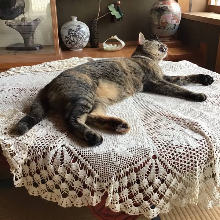 A16778ba a300 409e ad8d 5b245f38c6d5 1656051845840