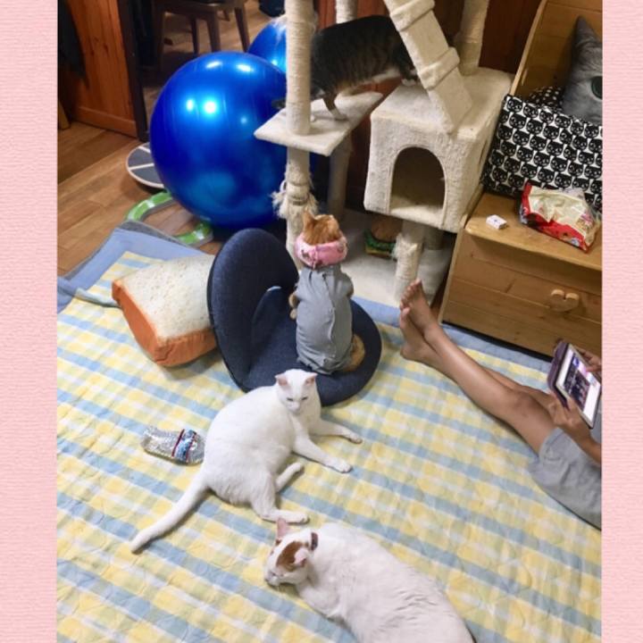 A1679e8d e704 4173 a874 2e000a56d62f 1528199544911