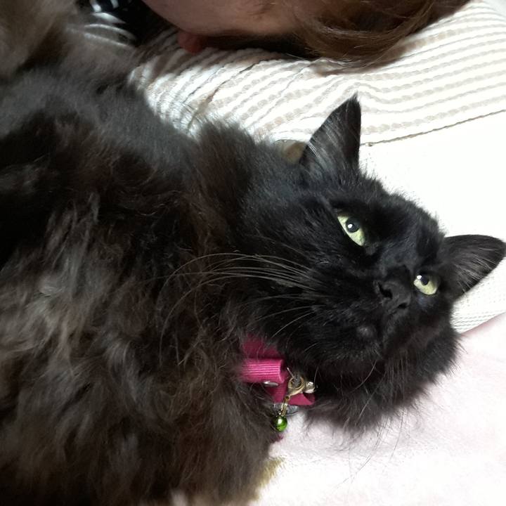 A1679f0c 8d8e 429a 8532 f93ab956372c 1521896950943