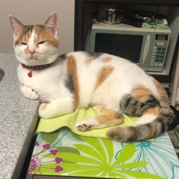 A167dc80 8bb0 4305 b1f3 ac6e707c2174 1574087753768