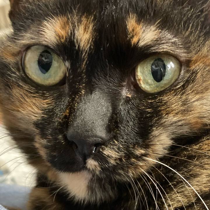 A167eed6 e5aa 4015 8d0d 109417bb3d8b 1685349520815