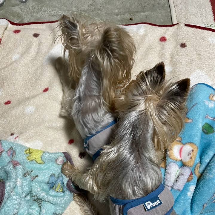 A16809cb ee80 4c79 9f27 0f65c8170b43 1702634615789