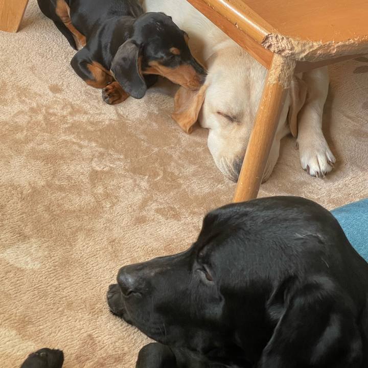 A1687008 a5c8 4d37 b2d5 5d02d25e0913 1638149297899