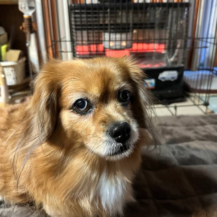 A1689e5d 9a4f 4079 9c77 2a0e5ea433f3 1763673697527