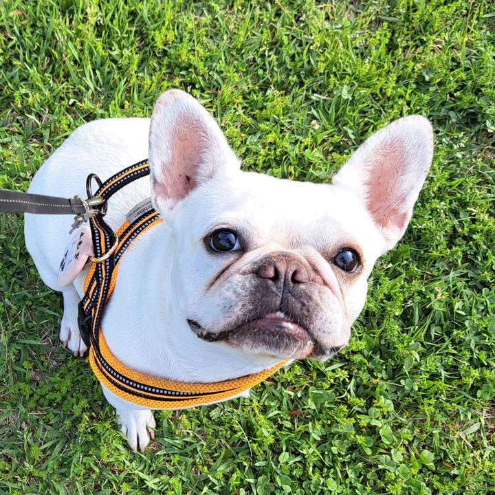 A168a140 a394 4bb9 99ab 5a01ec887dcf 1714337684572