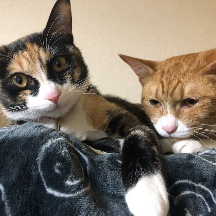 A168ac25 d0bb 4fa1 9ab8 eb3606f16a89 1552039407052