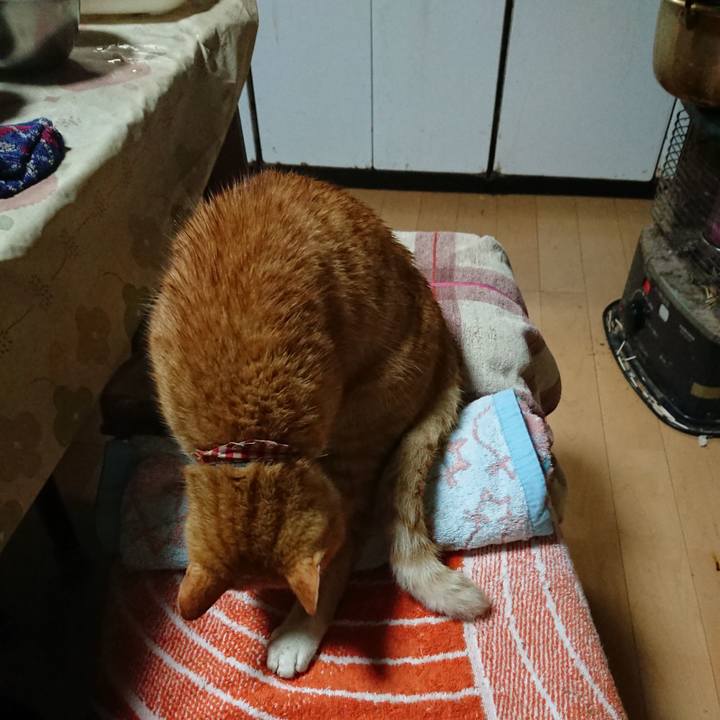 A1690cc7 c137 43c5 8fb1 f4dc251744ed 1604743044944