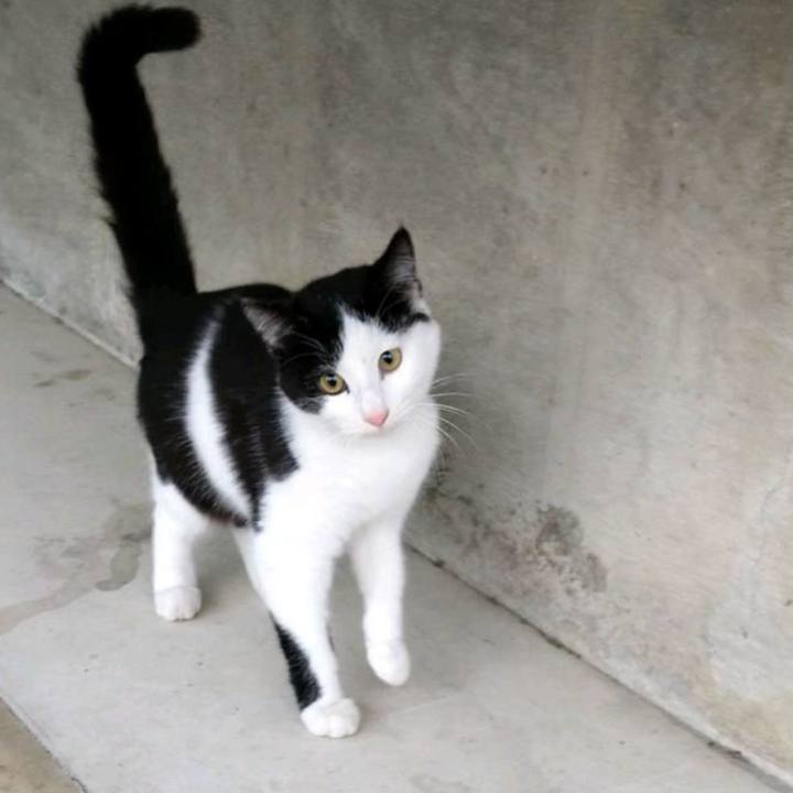 A1691833 8477 4050 8a69 19f57a5eae69 1614049201243