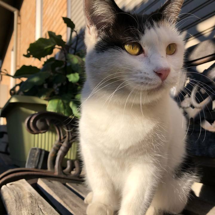 A1693486 3376 4cf4 910c d4bee6ab3743 1603582119410