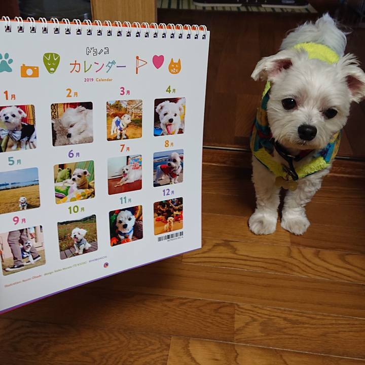 A16972a2 9aa6 4b81 9ef3 46b564df01fb 1546066033295