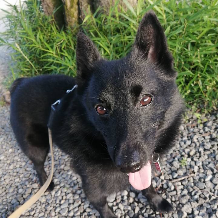 A169777c ab0d 481f bfc3 f92bb6e76d6d 1623963628205