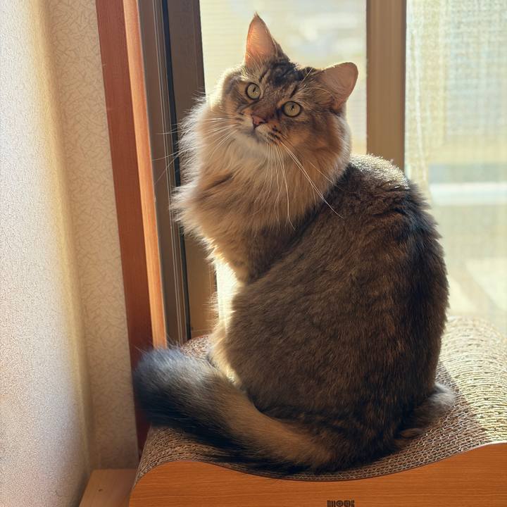 A16984d6 cce2 4714 be51 3c159359c77f 1758754338120