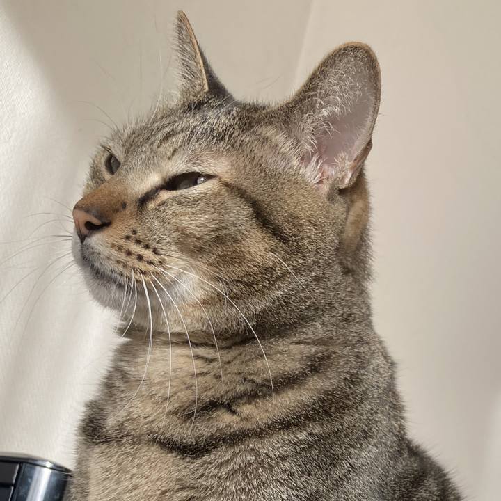 A1699e46 e18c 4774 bac6 051438ab504d 1762208329526