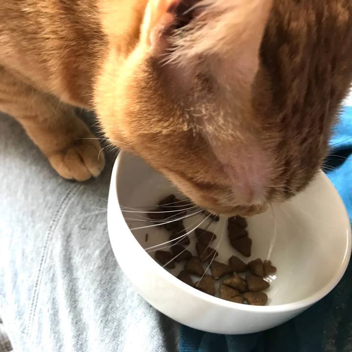 A16a22b8 4e3f 4cbb 9199 ec5bb93fe82f 1589071588875