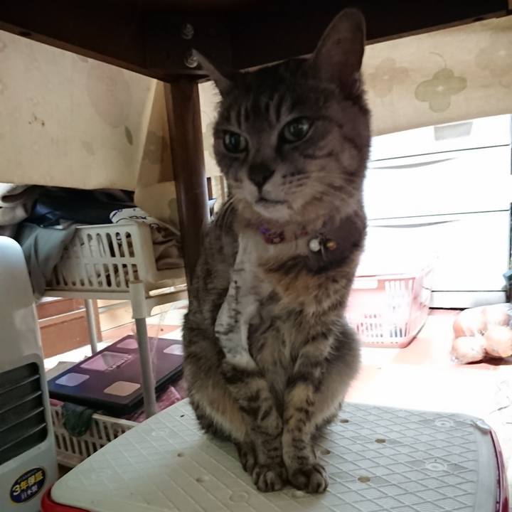 A16a4faa d550 4969 91d5 2a6f502d1427 1589746891897