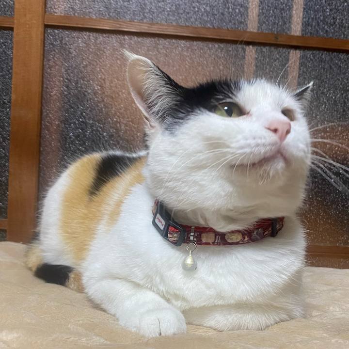 A16a56b1 caae 4f57 a8f4 b8f5c3586621 1651935769656