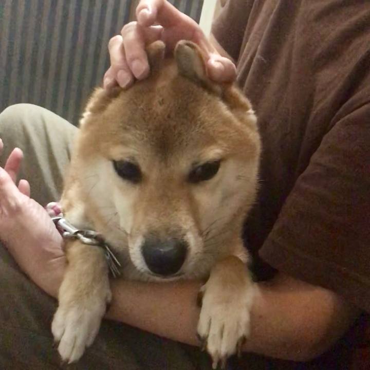 A16a56e3 3408 410f 86b1 06a399212fa9 1535584894234