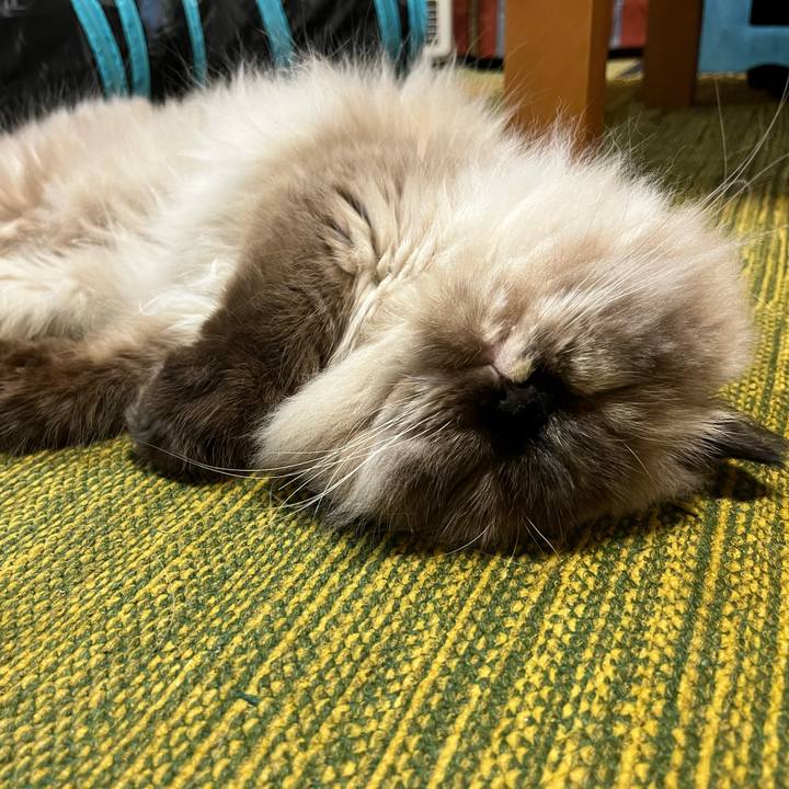 A16a6327 628f 41cd ac3d 9f68cb1b83a6 1662981410236