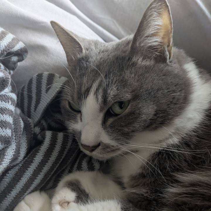 A16a8339 680d 4671 a145 4aa1eeb3ae65 1774151501727