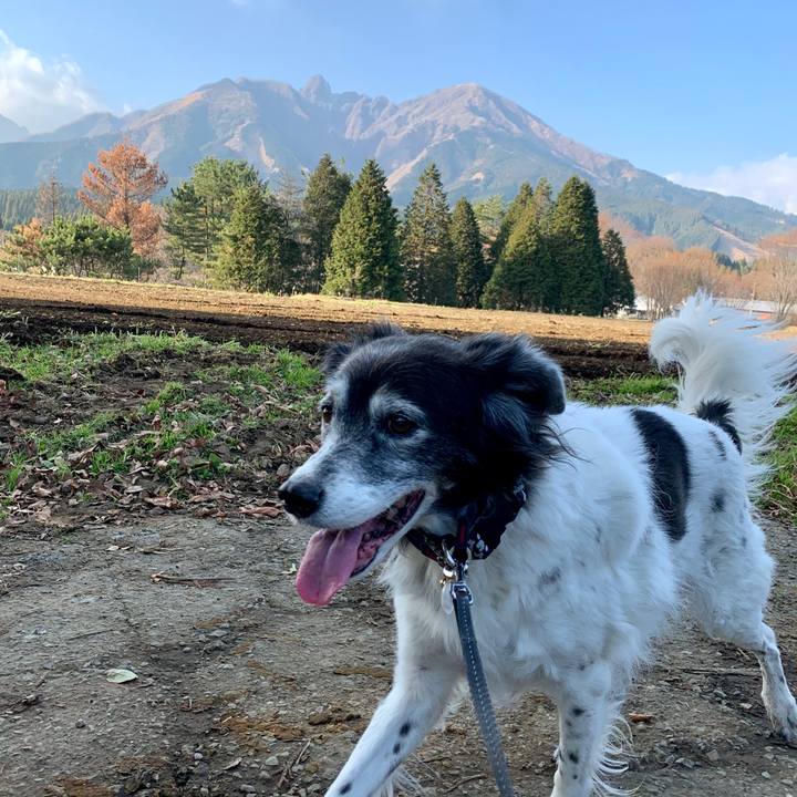 A16aef9f 6925 447d 90a2 032f351b07ac 1607754983757