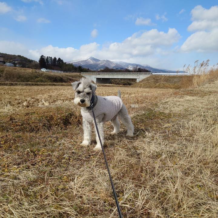 A16af6f0 ff64 41fd 84f5 86bd3dccfc85 1769574852618