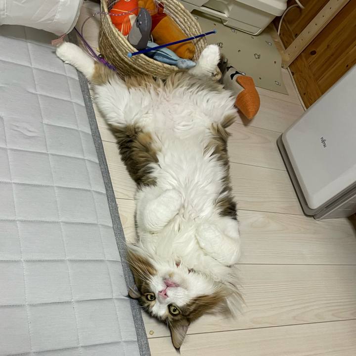 A16b09c4 9ca6 470d 89ef afe75030519d 1695237285766