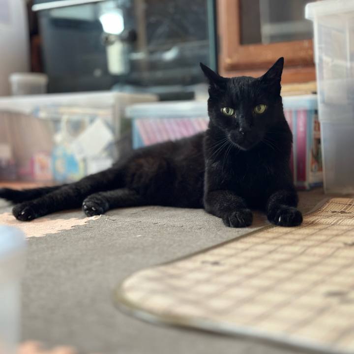 A16b10ea 3563 4c76 95d9 a7b5e3988e5c 1687139049278