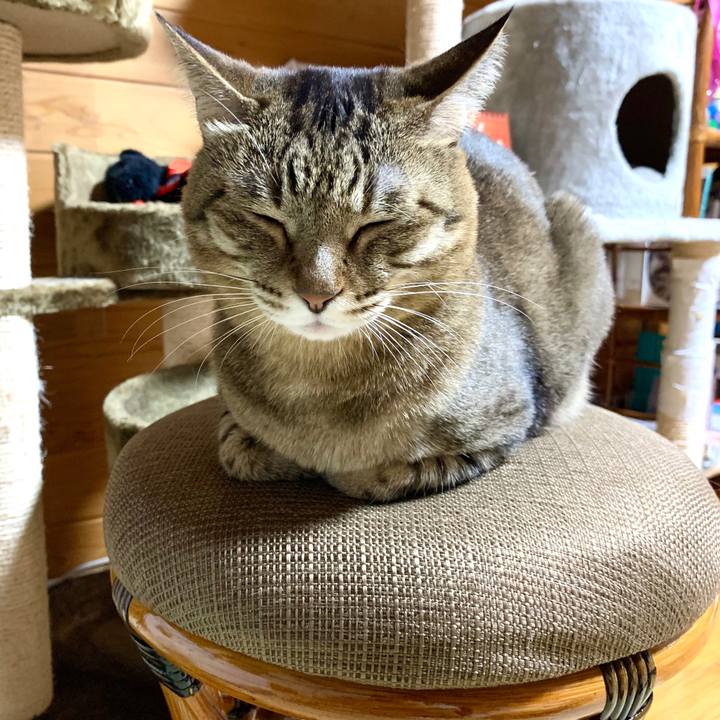 A16b5e1a dc6e 4c10 81e5 806fbe9c6bfe 1582113476923