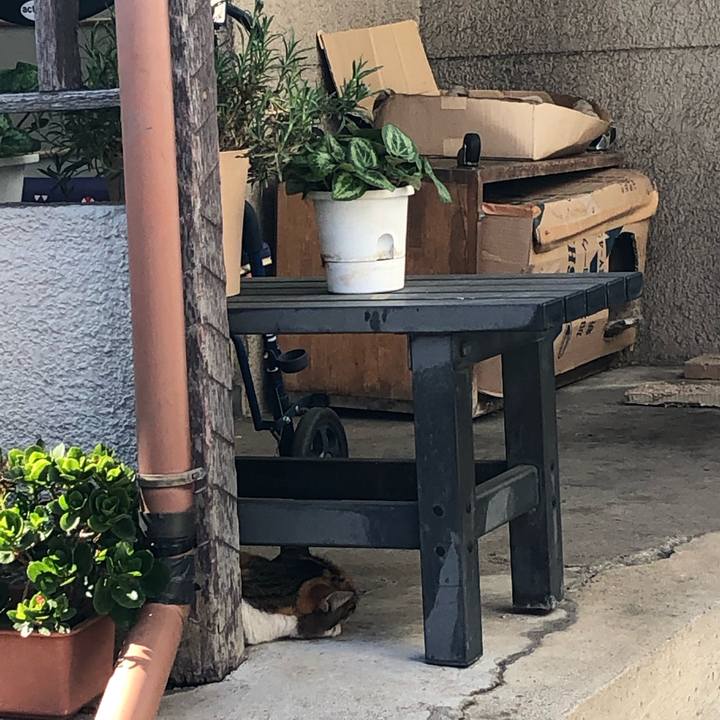 A16b638b 4150 44b0 b41d f9dc7574c982 1564850131697