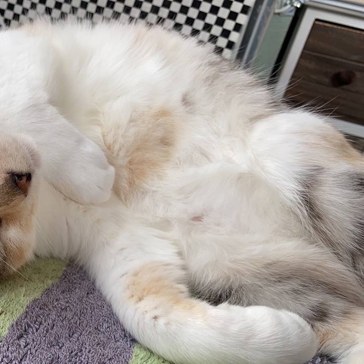 A16baadf 145a 4b21 8585 2d8d8b6826c2 1617458638197