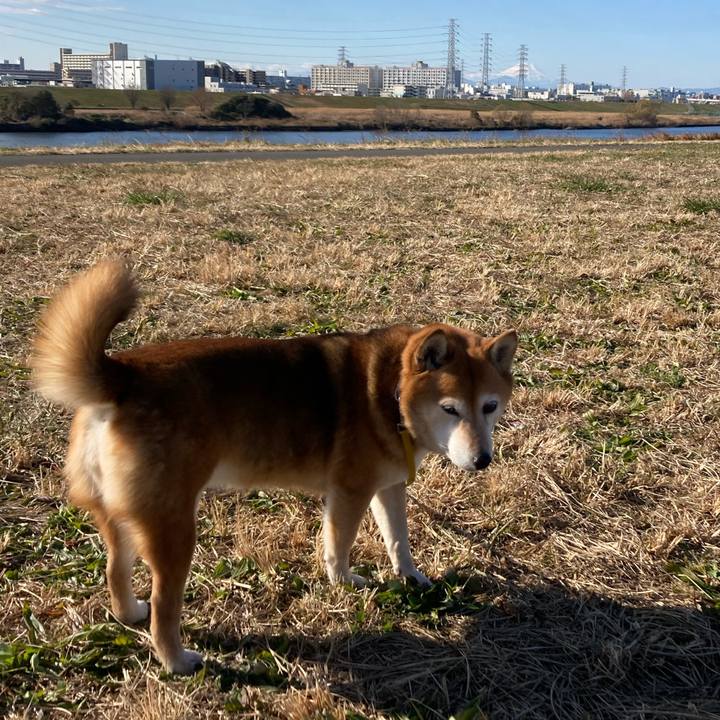 A16c33eb 18cf 4aed bad3 28cb6a0f4e09 1641186825019