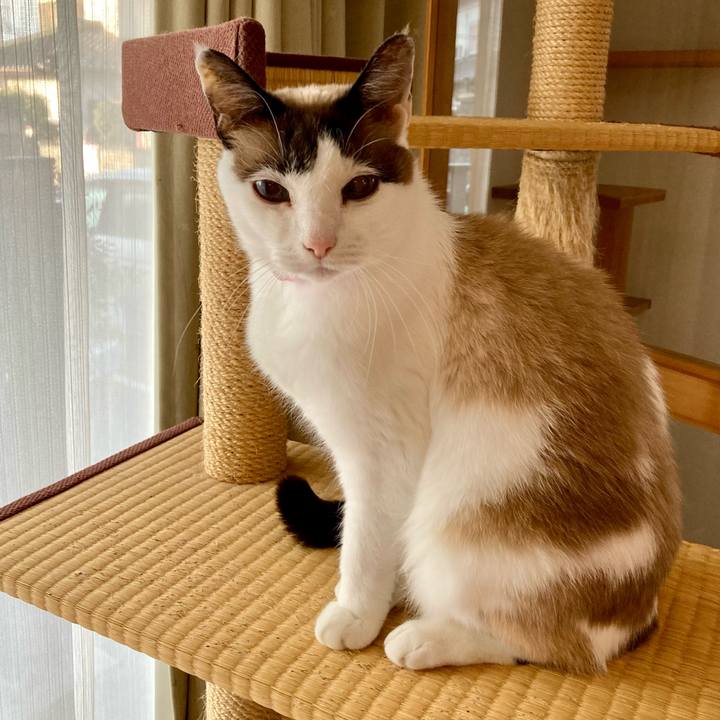 A16c3e69 0f53 4591 bfe7 3c727e9ead44 1644737866945