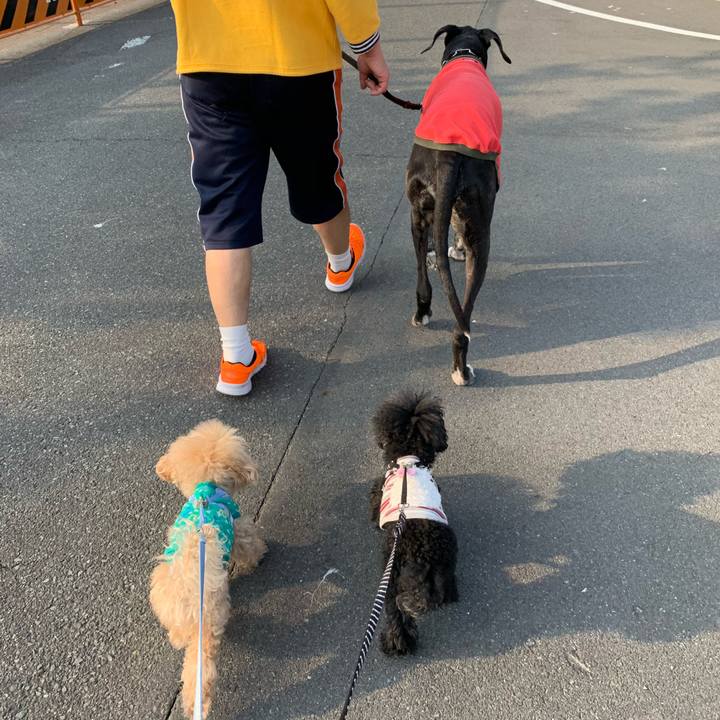 A16c6957 7155 4b68 b883 cf26844fd992 1588371614074