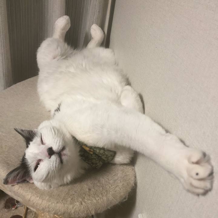 A16cae76 40f0 426f af14 0cd36a55a409 1560775473419