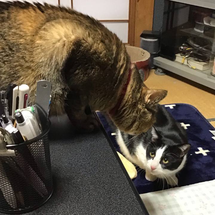 A16cae99 90e2 4880 9b75 987f328b4e70 1707099825293