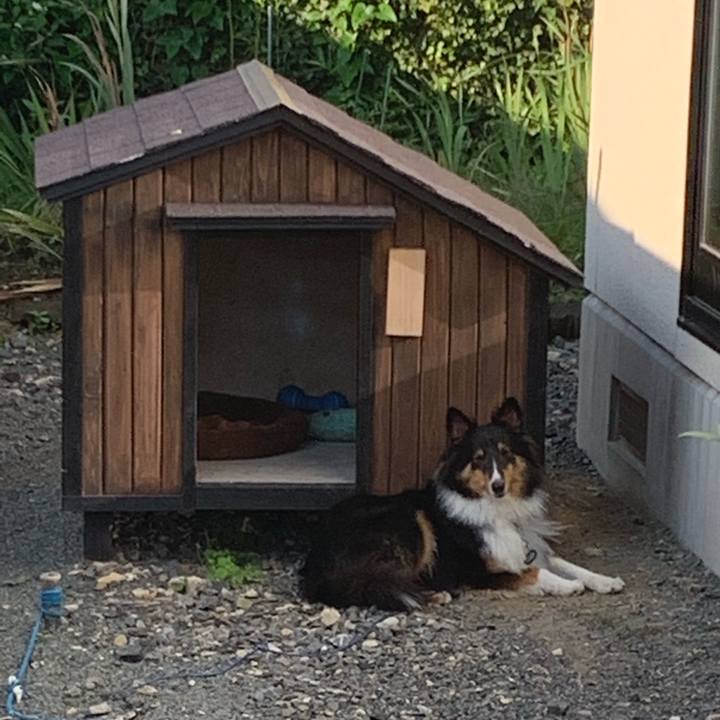 A16cde41 1df0 48a0 826b a02c91645051 1569364056391