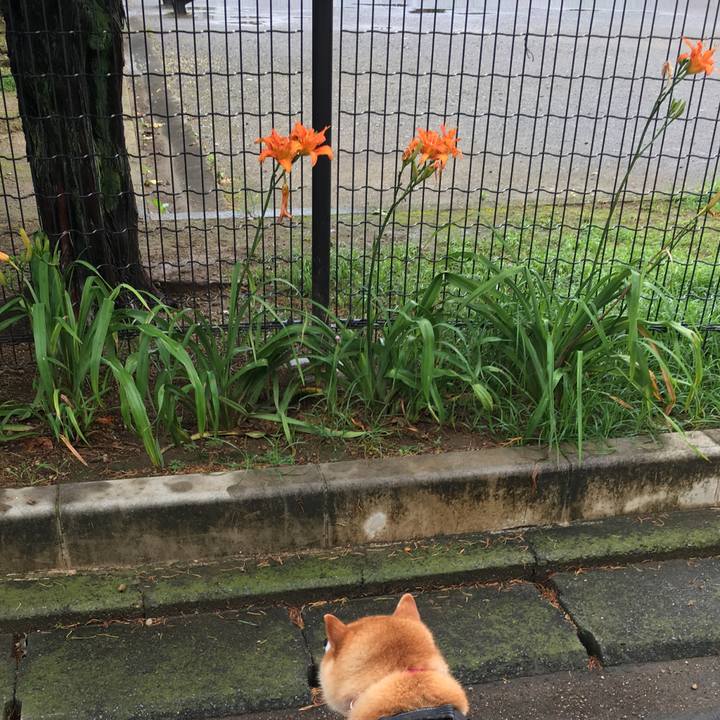 A16ce908 969b 4cc3 855d 240f5a591dc3 1593823774379