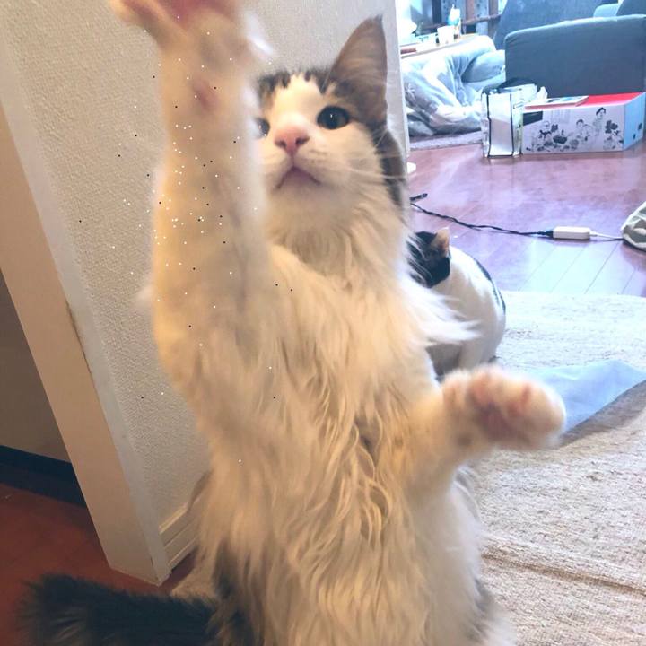 A16d4b43 ad14 44f8 959a 80bc3ee1bf25 1547092425158