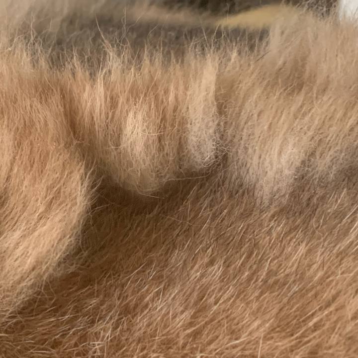 A16d5408 c16f 44f8 a1bd 19f8f975462a 1610867194302