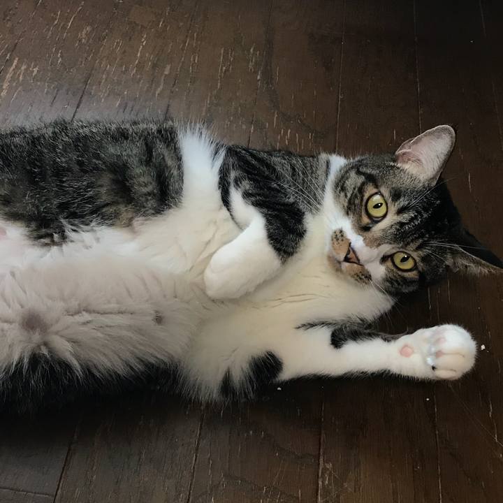 A16d7dcd e886 479f 94af ea33dcd49f82 1533516799991